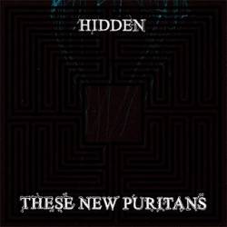 These New Puritans : Hidden